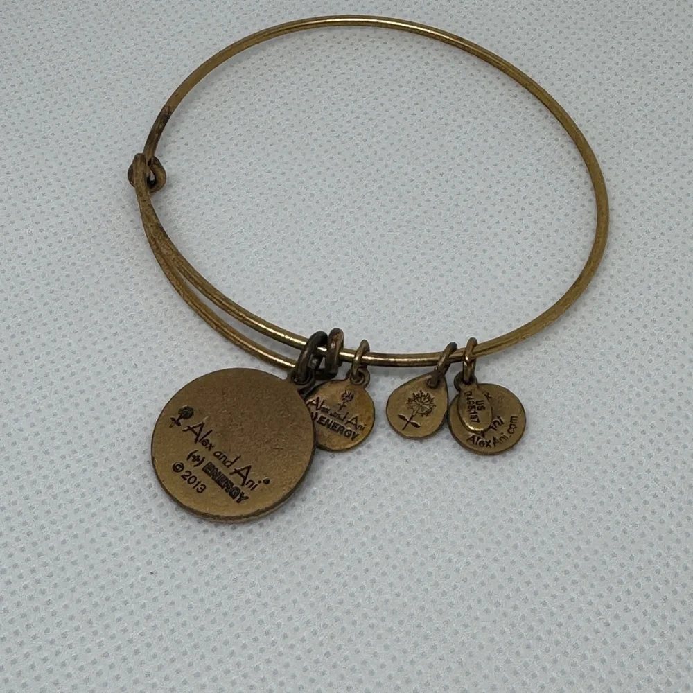 🐏 Alex and Ani Aries Zodiac Charm Bangle Bracelet (Gold Tone)